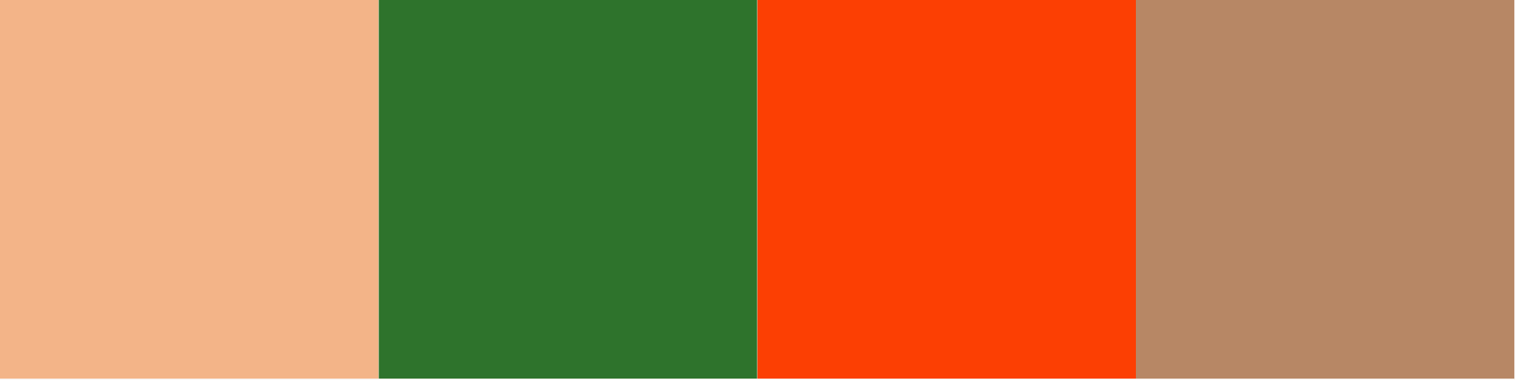 Vasudha color system
